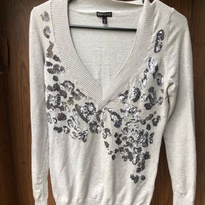 Express Sequin V-neck Sweater 🔅